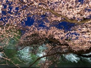 滞仏日記「心配してもはじまらない、が正しい理由」