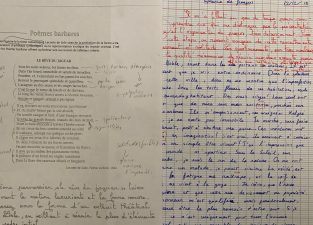 滞仏日記・続「試験結果と将来のこと、父子の立ち話」