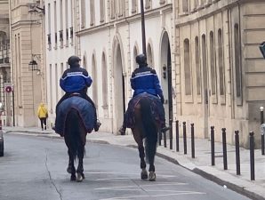 滞仏日記「息子に怒鳴られたフランス人の大馬鹿野郎たち。ぷんぷんぷん」