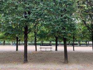 滞仏日記「９月１日から息子の自炊生活がはじまる。その訓練をやった」