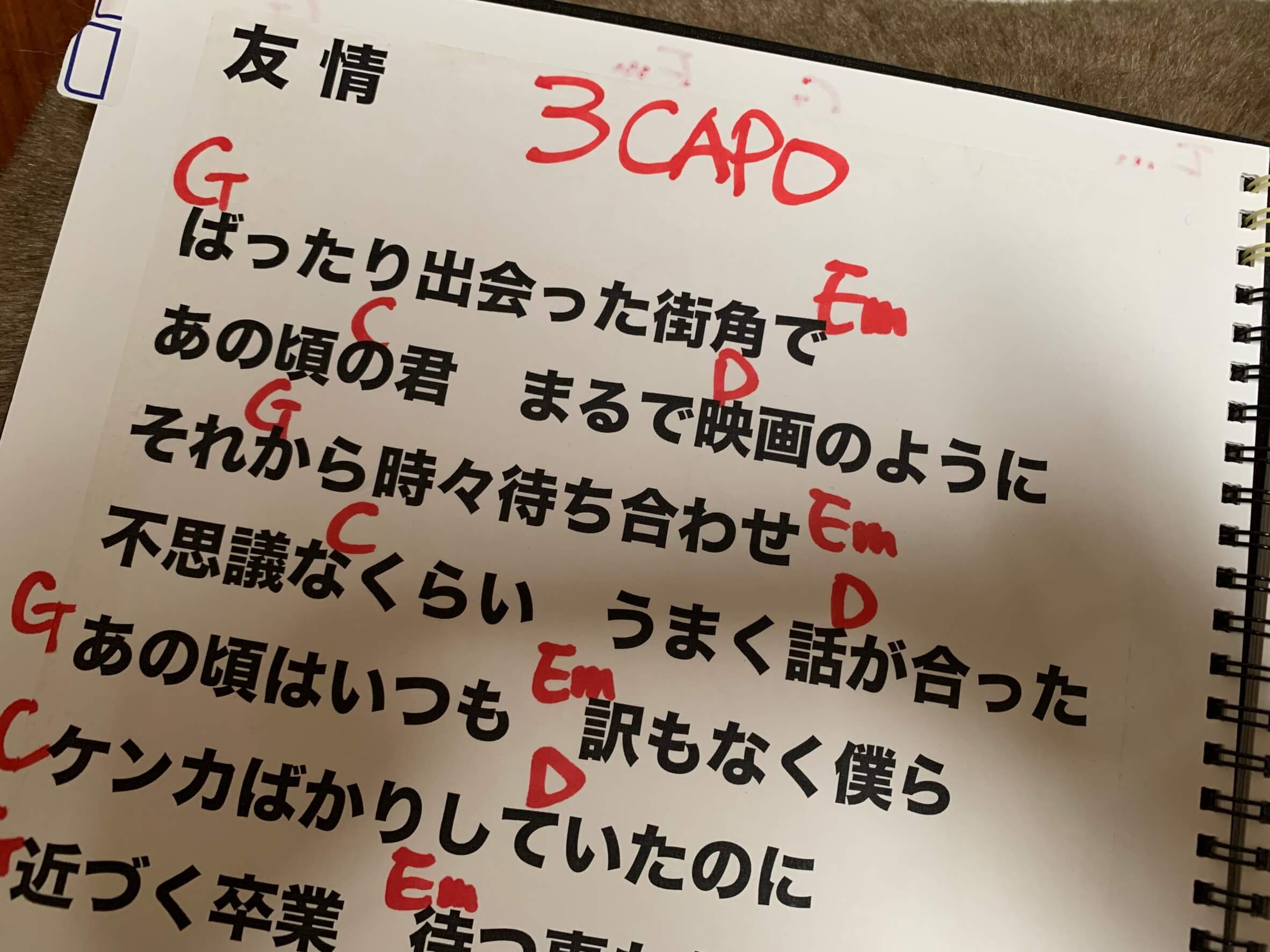 滞仏日記「久々、恋に暴走する息子にかっちーーーん。ちょっと待て！！！」