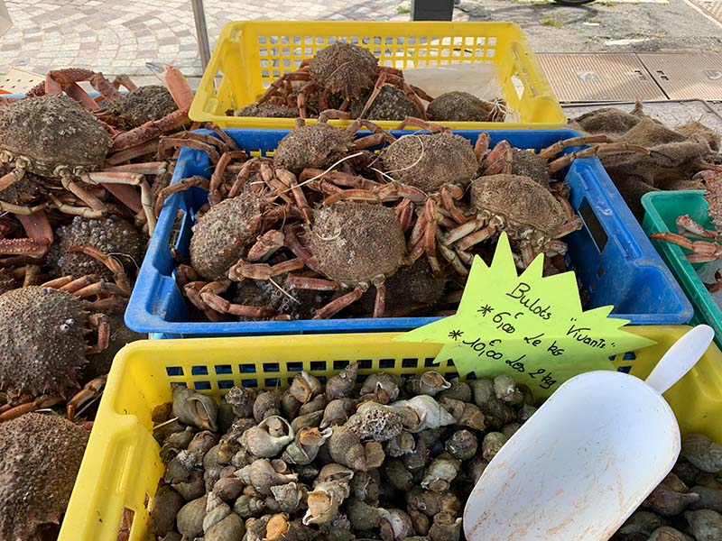 退屈日記「今夜にでも、カキのオイル煮を作りませんか？　美味しいよー」