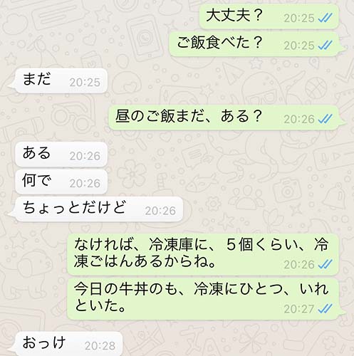 退屈日記「離れていても、田舎とパリで、ぼくと息子のやりとりは続く」