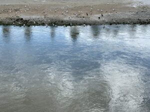 滞仏日記「カイザー髭にセッションやろうと誘われた父ちゃん、不整脈が・・・」