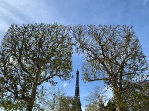 滞仏日記「主夫目線の父ちゃんが、仲間を集めて、発信したいこと」