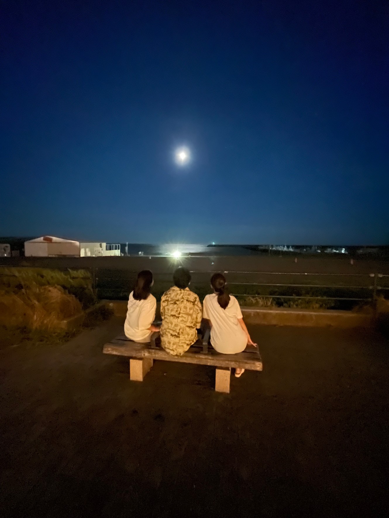 滞日日記「今日は息子たちと4人でランチをしたのであーる」