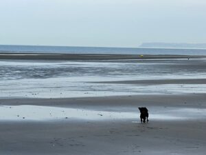 滞仏日記「またしても、ぼくは地獄を見た。昨日田舎に行き、今、パリにいる地獄」