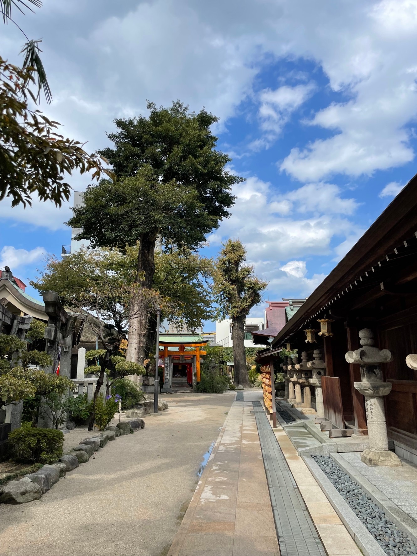 第六感滞福日記「ぼくは博多のパワースポットで邪気を払った。邪気退散、博多は快晴第六感