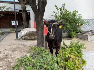 第六感滞福日記「ぼくは博多のパワースポットで邪気を払った。邪気退散、博多は快晴第六感