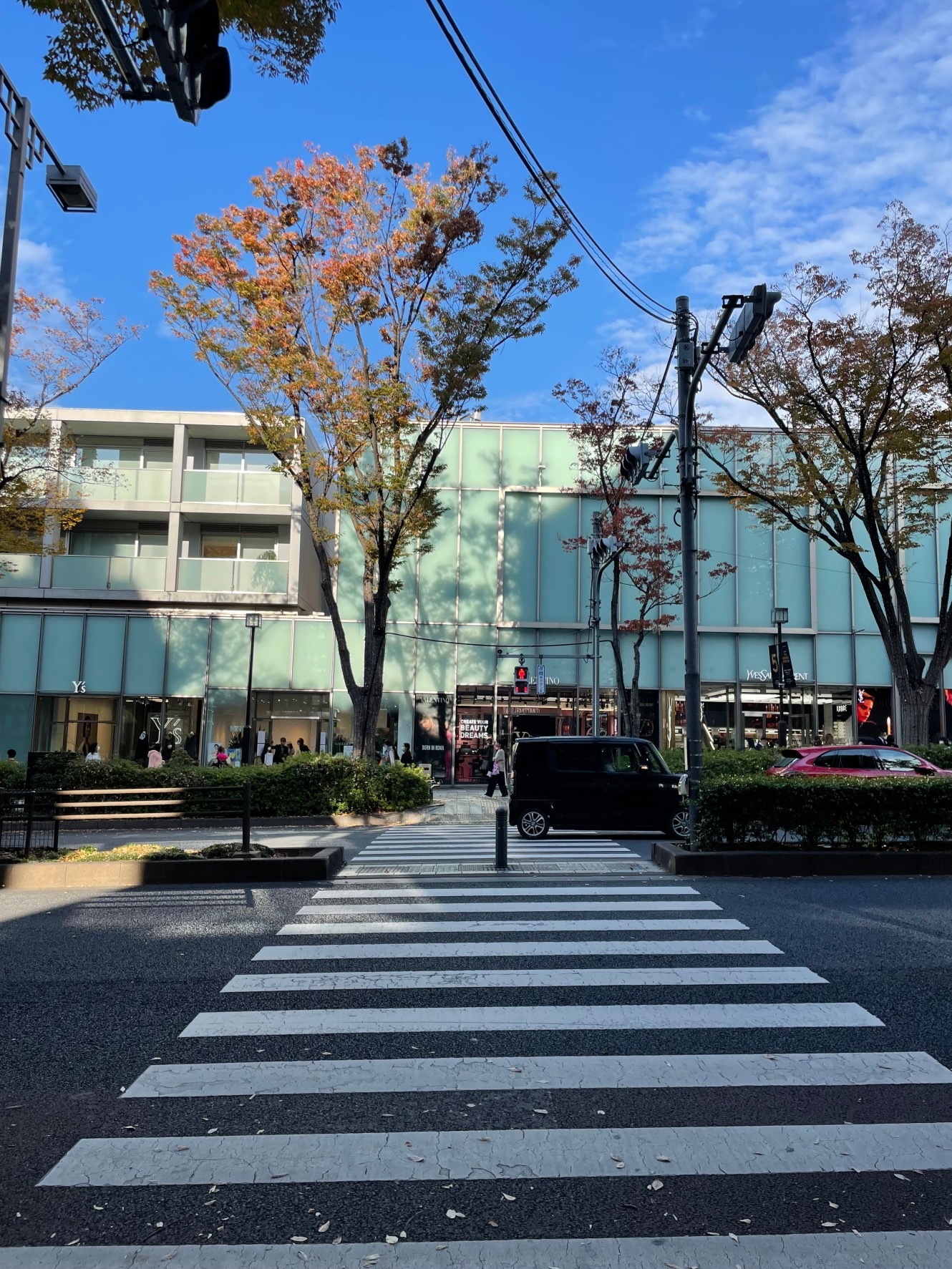 滞日日記「またしてもぼくの身体に異変が、外科の先生まで出て来て、大騒動に！」