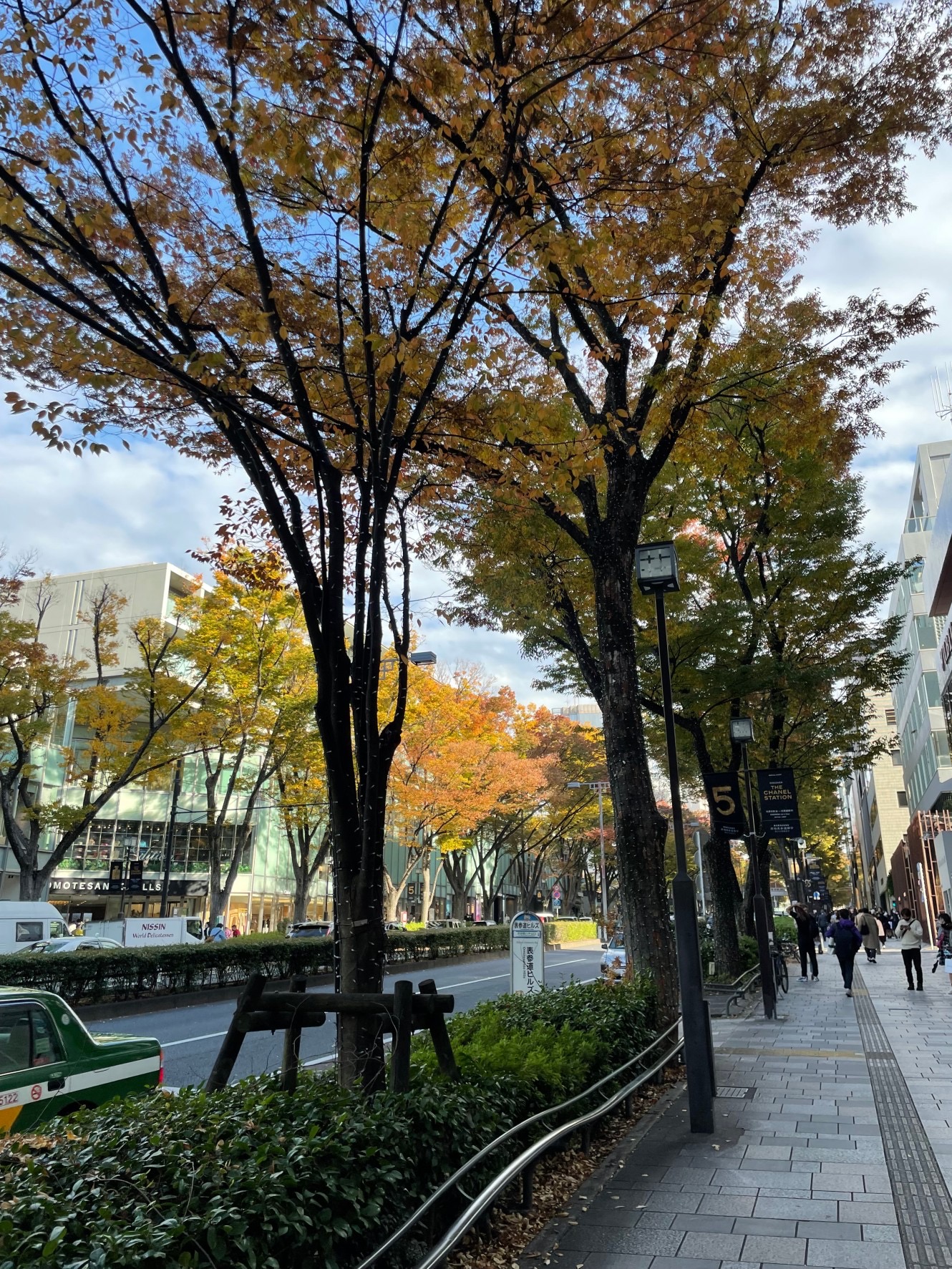 滞日日記「またしてもぼくの身体に異変が、外科の先生まで出て来て、大騒動に！」