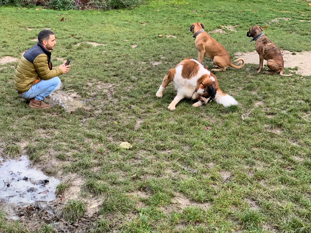 滞仏日記「犬友の輪が広がる。新世界でぼくはまたまた新しい仲間が増えていく」