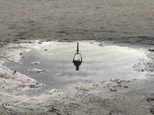 滞仏日記「急な仕事が入り、パリに向かった父ちゃん。しかし、パリで大事件が！」