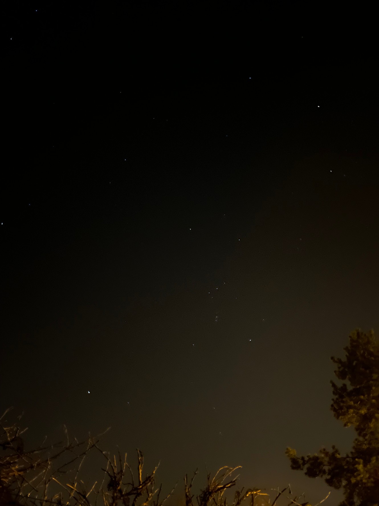 退屈日記「田舎の夜空は星のパラダイス。パリでは見ることのできない星座たち」