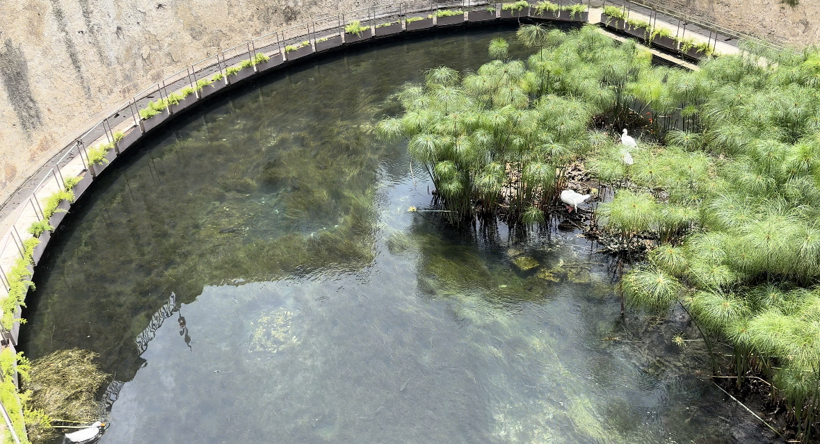 動物欧州横断日記「シチリアのパワースポットで邪気を払ってからの遺跡巡り」