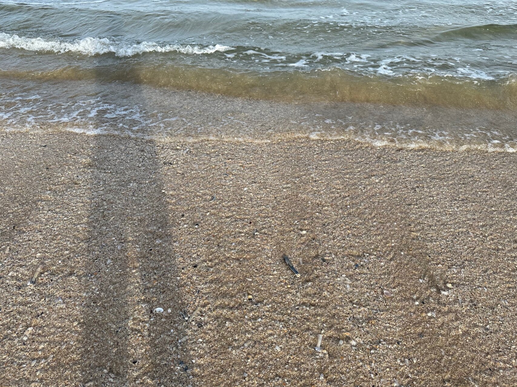 滞仏日記「浜辺で遠くを見つめる一人の女性がいた。打ち寄せる波に願いを込めて」