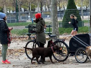 滞仏日記「防犯ベルが耳をつんざき、上を下への大騒ぎ、三四郎が逃げ出した、あゝ、秋の日の大事件」