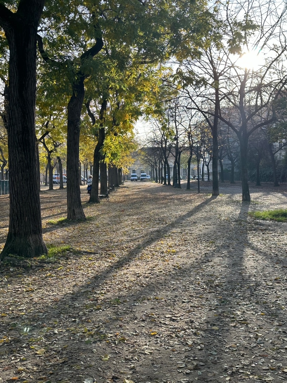 退屈日記「悲しい夢ばかり見る。きっと現実の自分は不安なんだろう。がんばれ、自分」