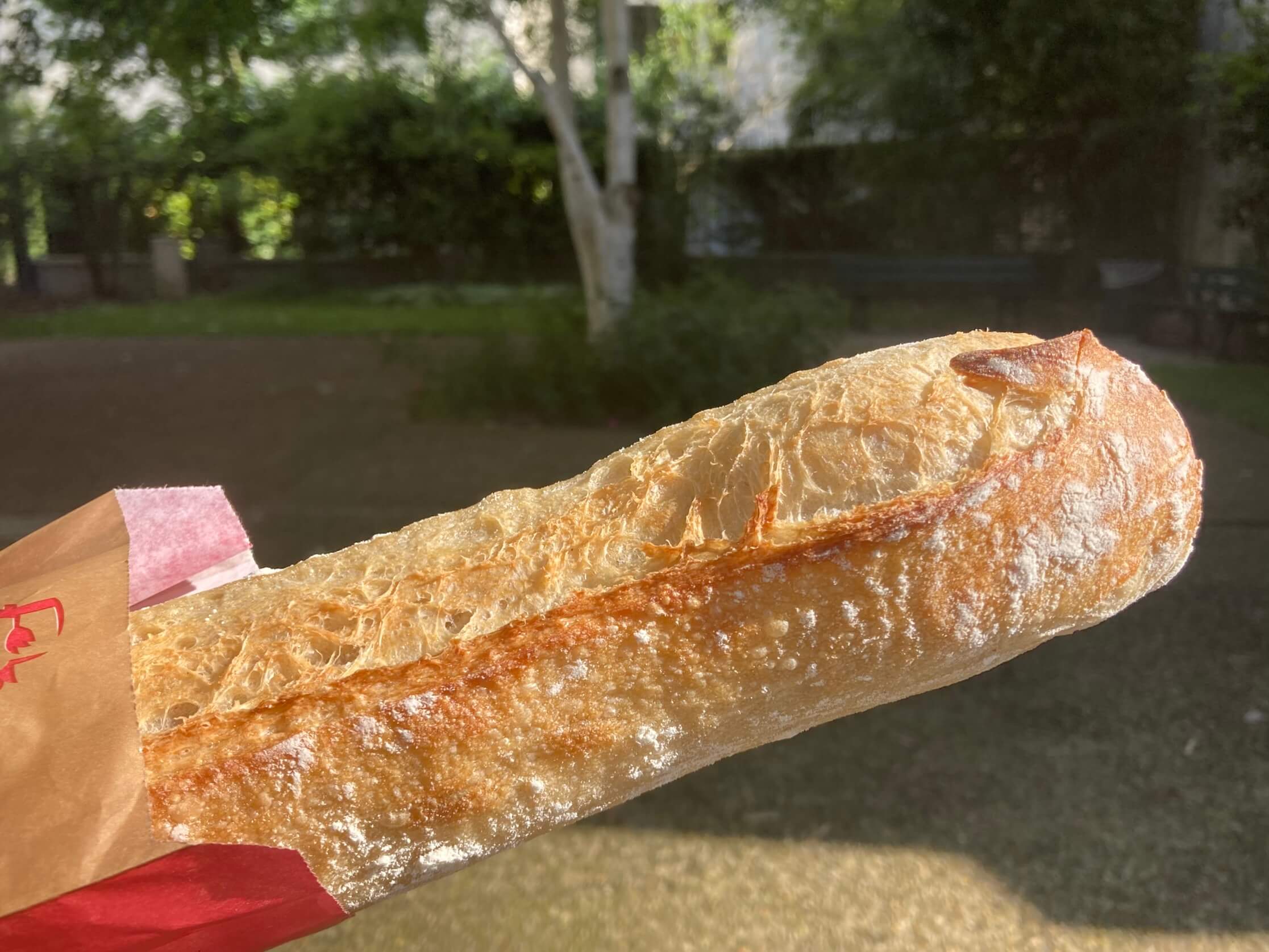 パリ最新情報「フランスはパンの季節。皆から愛されるバゲットの秘密」