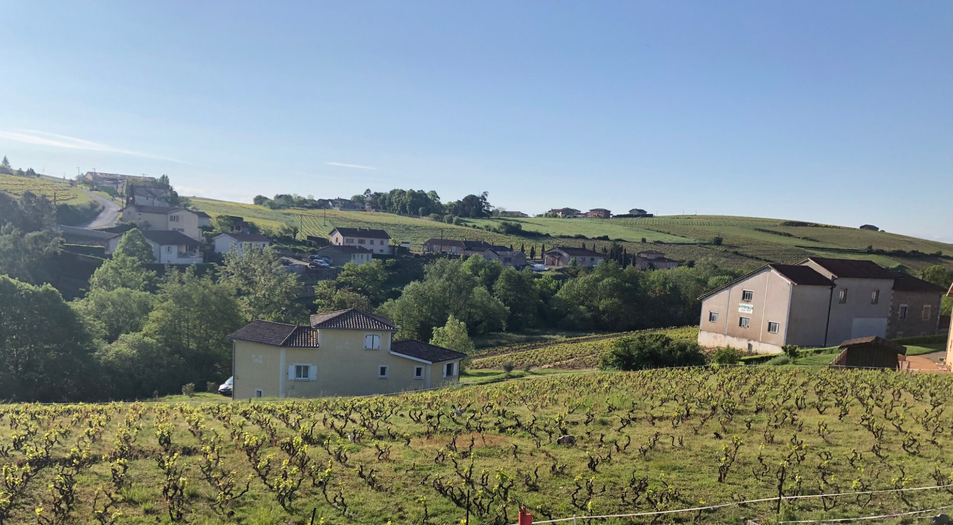 フランスの田舎で暮らす：陰気をふき飛ばす小さな命