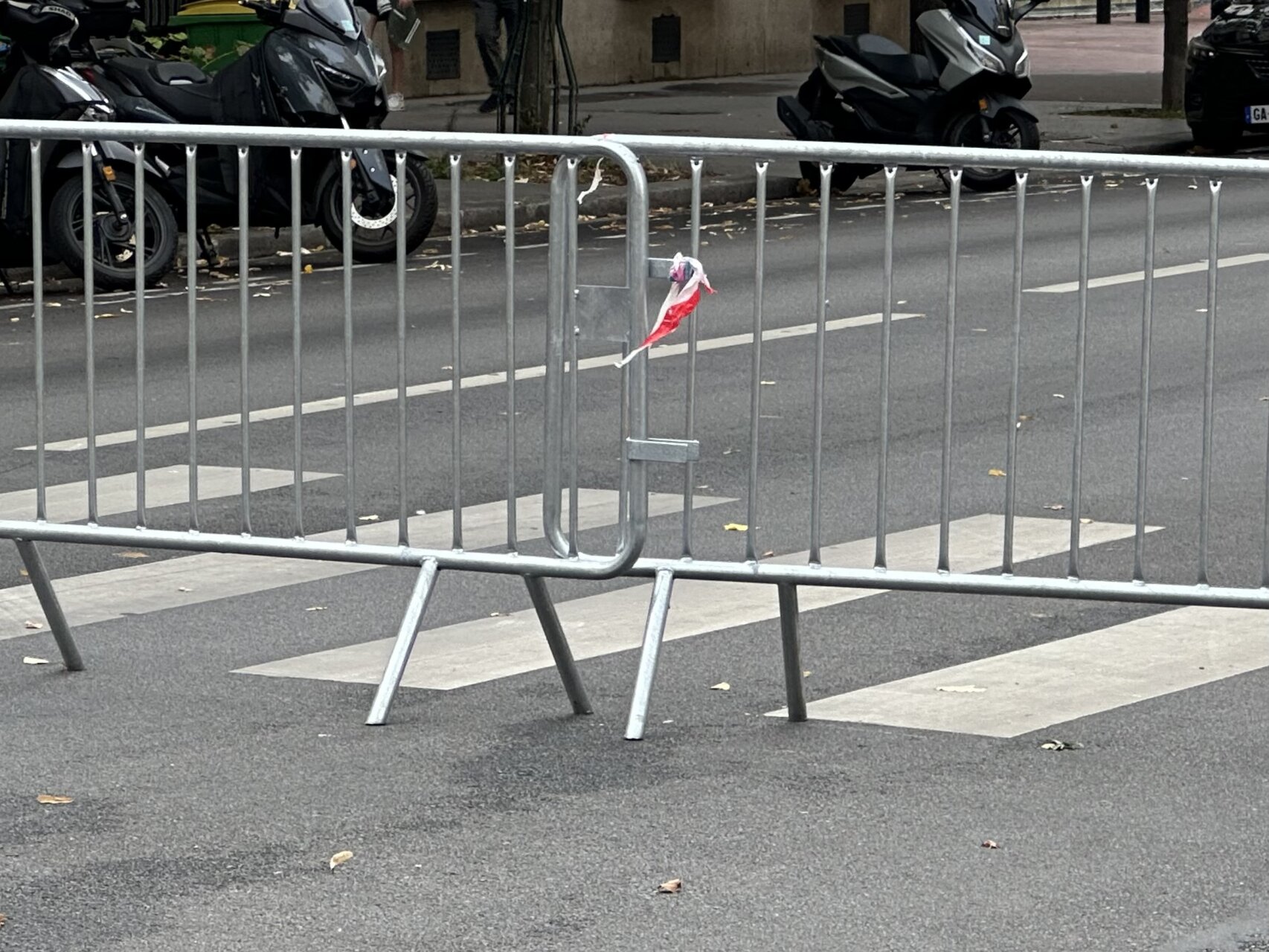 滞仏日記「パラリンピックの影響で、警官隊が自宅周辺の道路を閉鎖、父ちゃん家に帰れない」