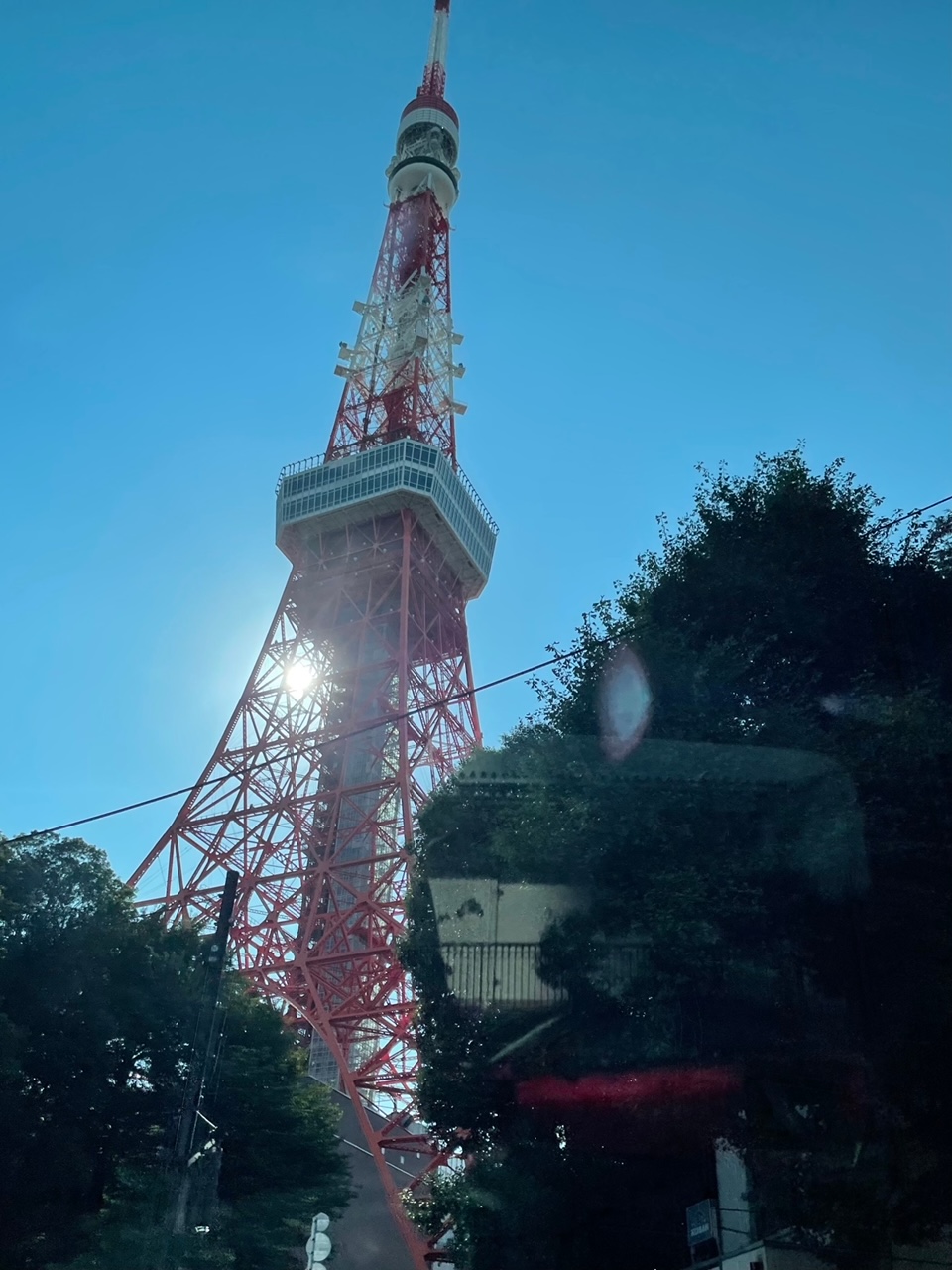 滞日日記「半年消えないおできがあって、心配になり、検査に行った、そういう年頃だからね」