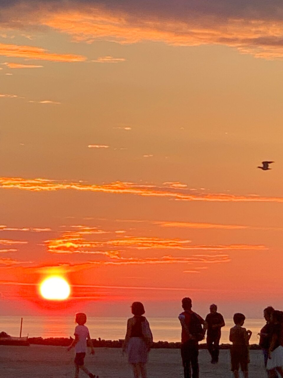 滞仏日記「ずたぼろ父ちゃん、沈む夕陽を眺めながら、元気にならなきゃ、と鼓舞した夕刻」