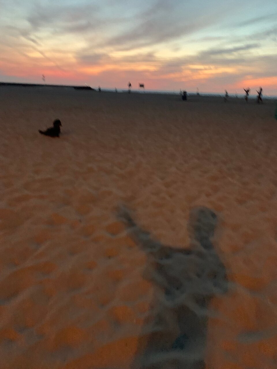 滞仏日記「ずたぼろ父ちゃん、沈む夕陽を眺めながら、元気にならなきゃ、と鼓舞した夕刻」