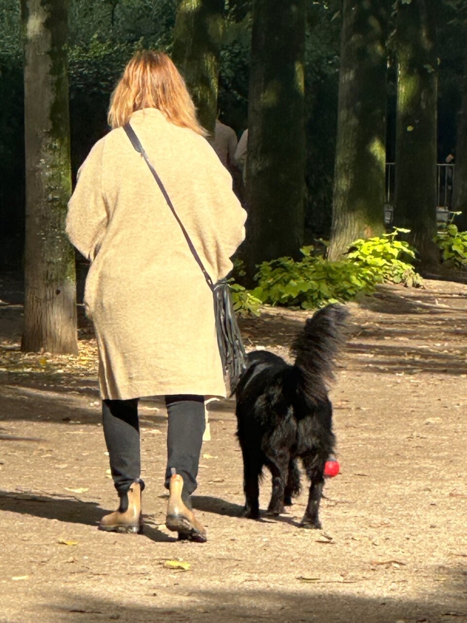 滞仏日記「犬は忙しい人間たちをつなぐ生き物である。久々、ニコラ君、登場！」