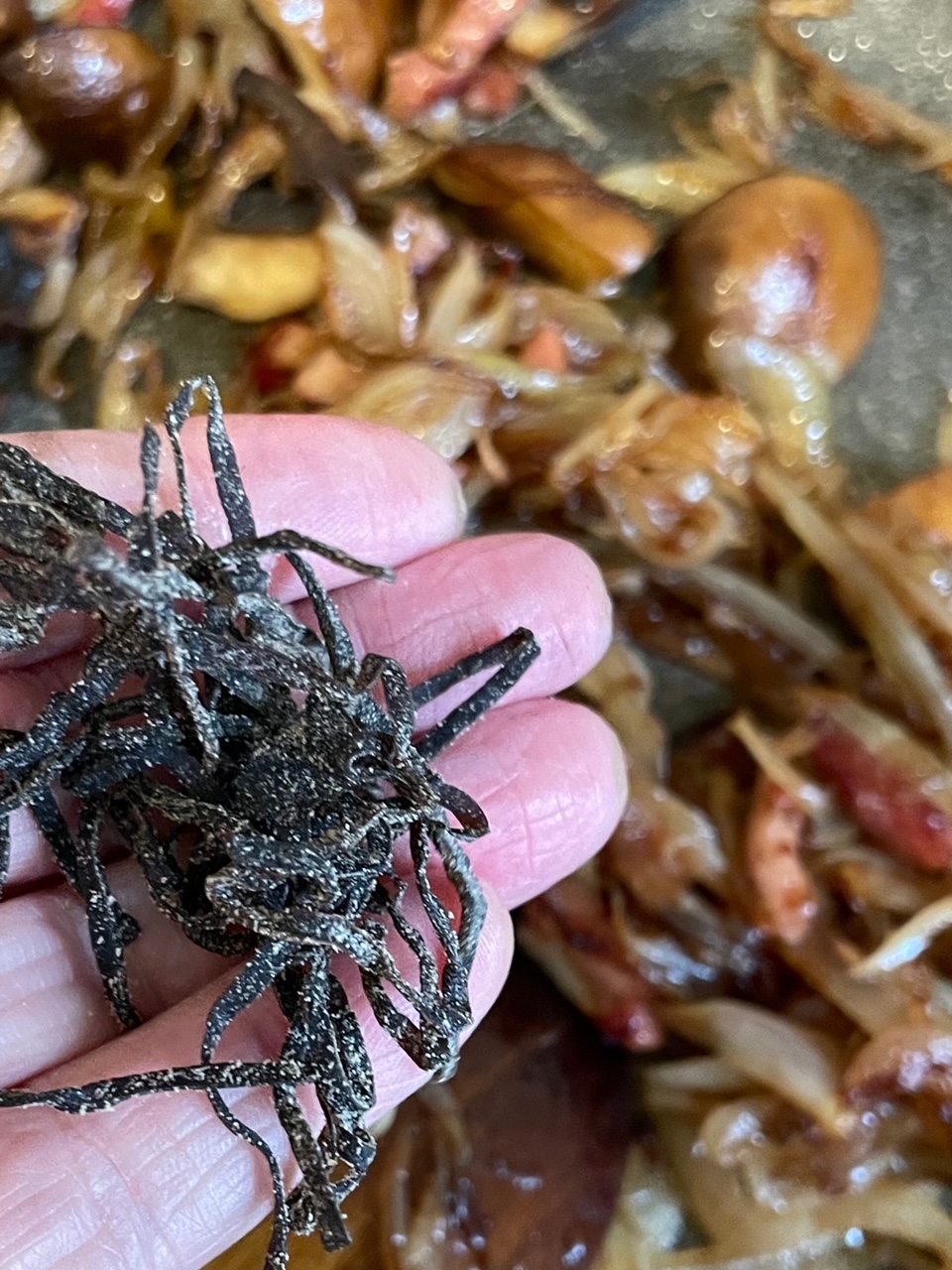 仏飯日記「なかなか復調しない父ちゃん、たまねぎのあっさり和風パスタを作って食べた」