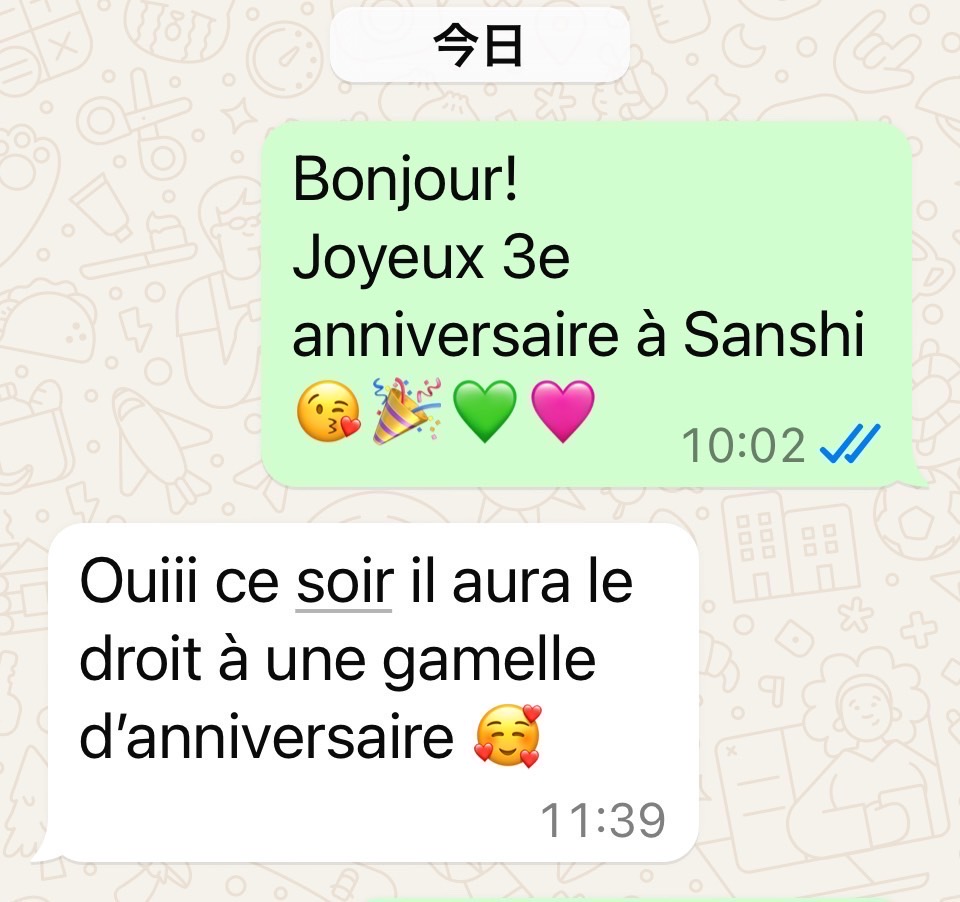 フランスごはん日記「コルシカ島アジャクシオに到着、おお、まさに、地中海のハワイじゃ！」