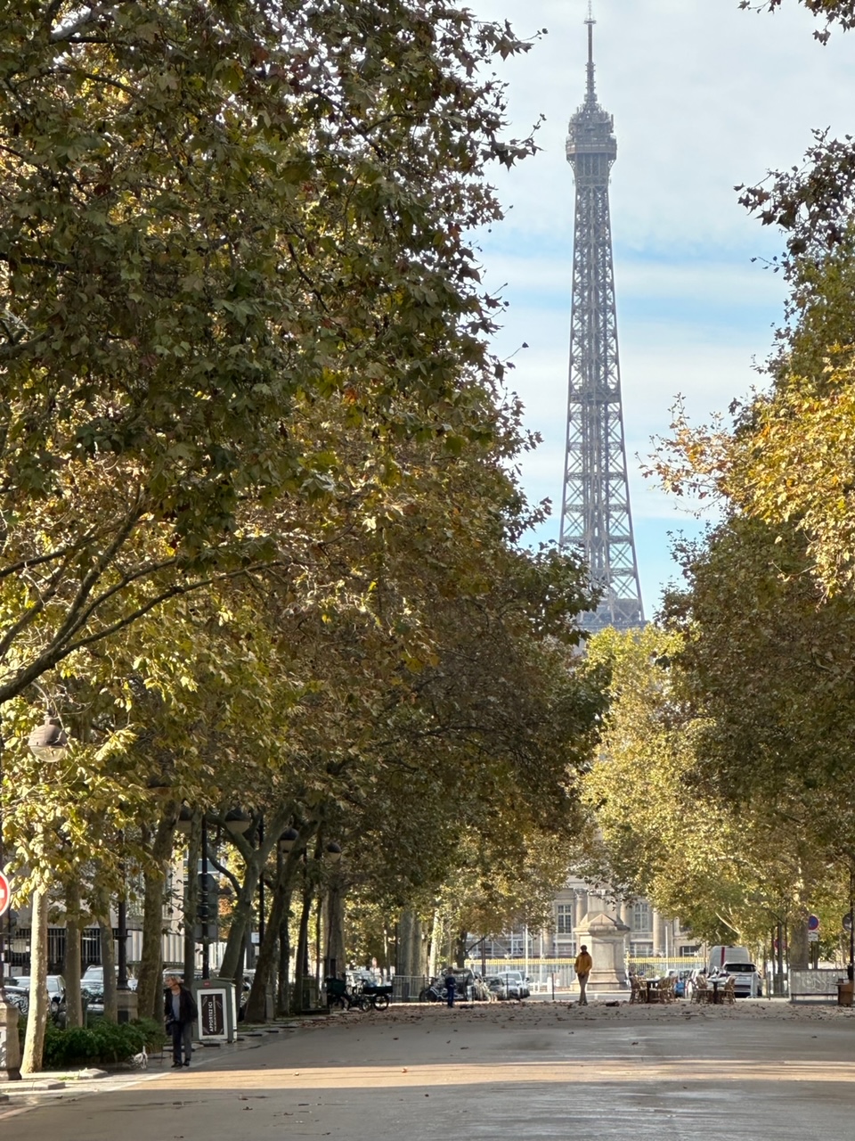 フランスごはん日記「スーパーネガティブな一日だった。暗い今日をどうやってポジティブに変えるか！」