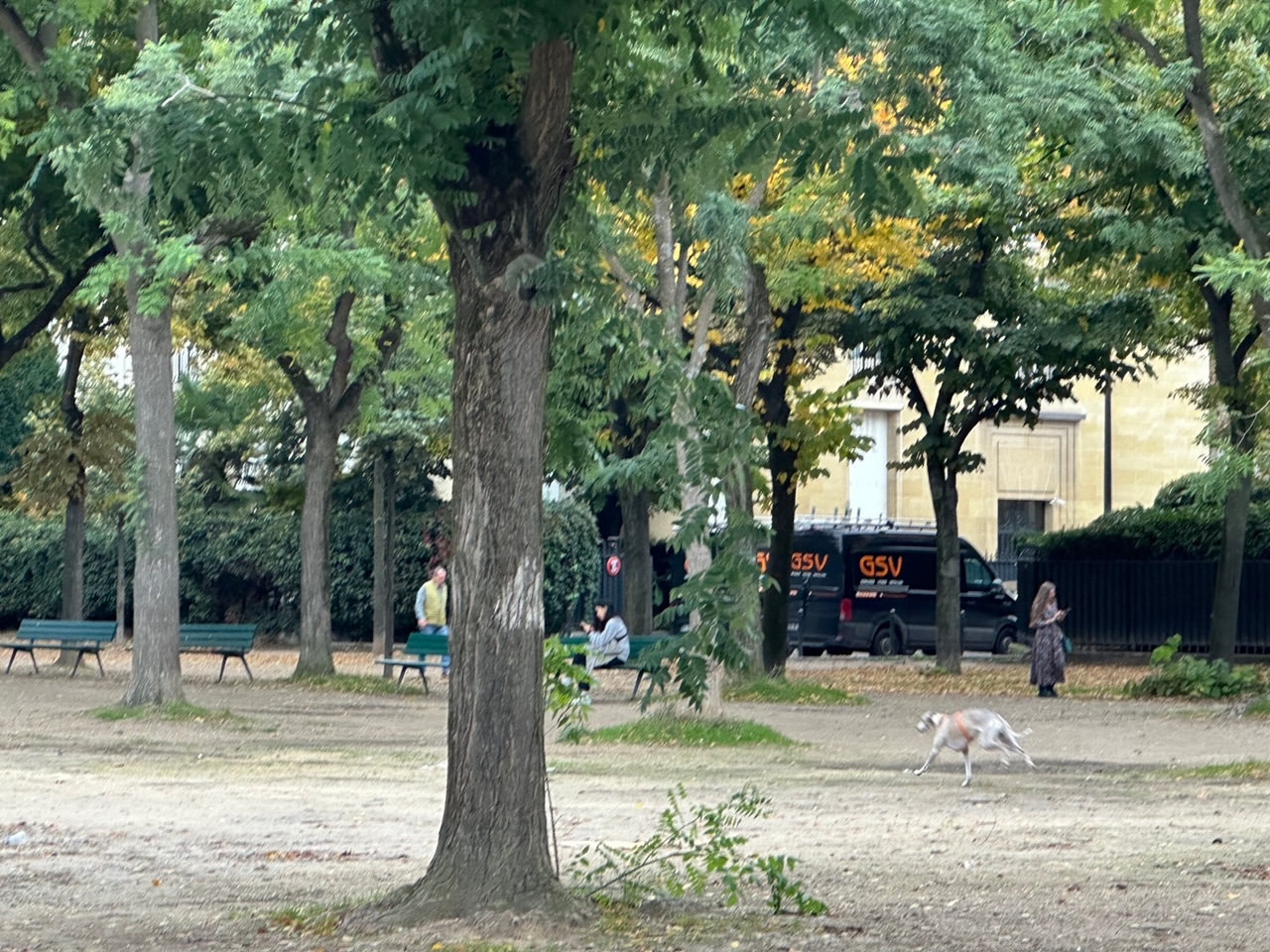 フランスごはん日記「デトックスなスープで、パリの秋をスマートに生きる男と犬」