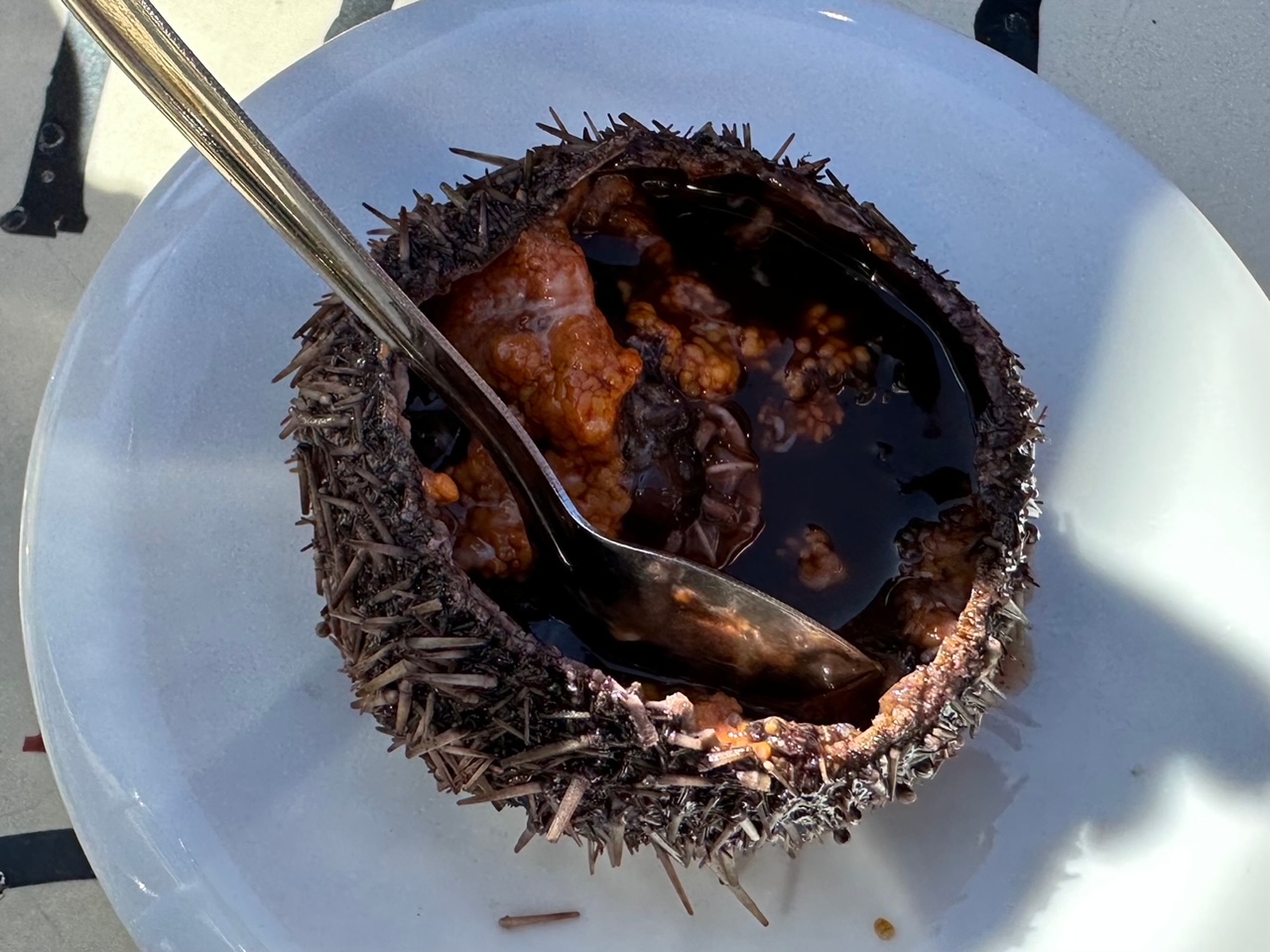 フランスごはん日記「調子が出ない時は移動して、空でも眺めて、美味しいもの食べなさい」