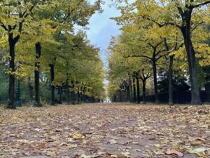 フランスごはん日記「これからの世界はもう小さく生きるしかない。小さく生きる人生の選択」