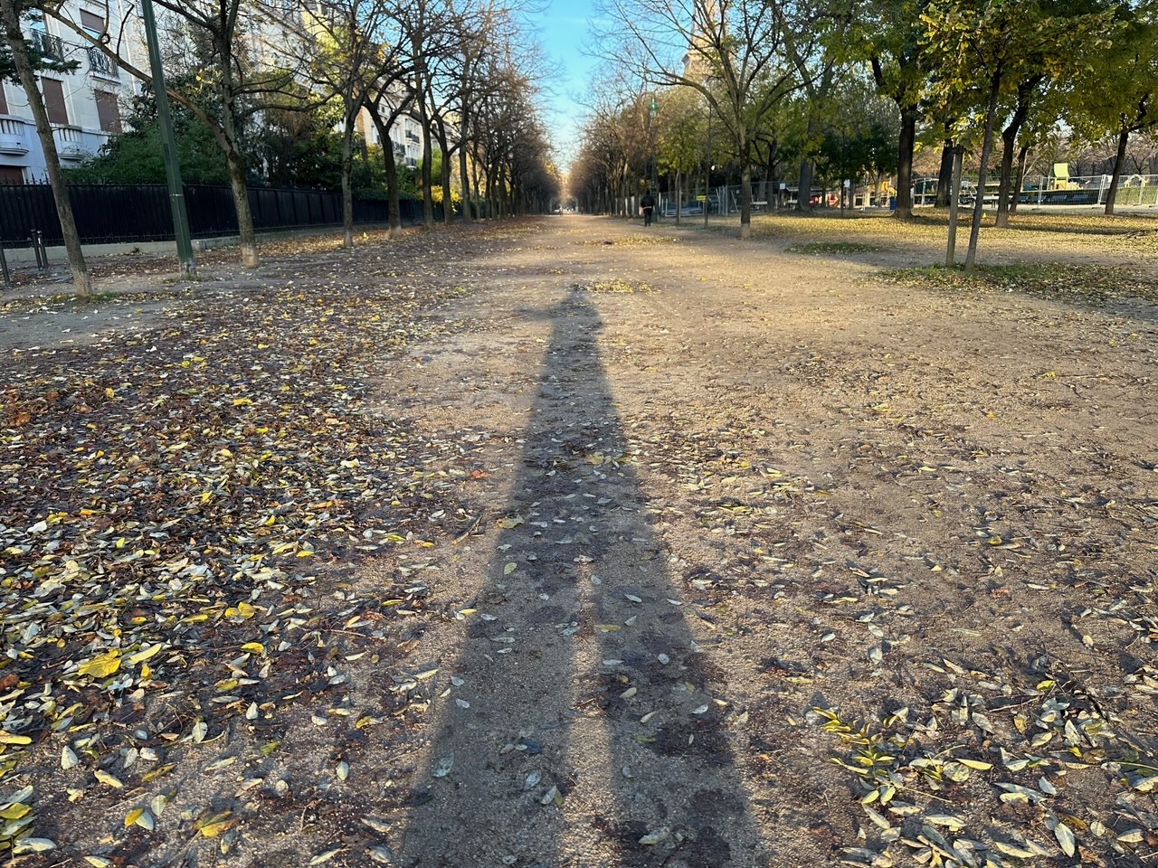 フランスごはん日記「ボロボロな時にこそ、ボロネーゼだぜ。父ちゃん、今日、生きる気力をなくしたので」