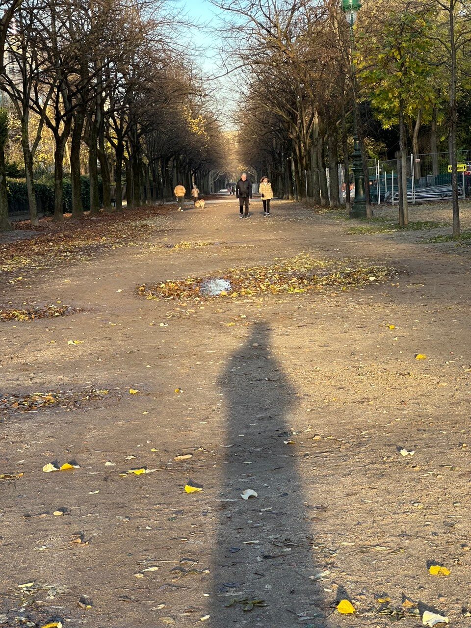 フランスごはん日記「ボロボロな時にこそ、ボロネーゼだぜ。父ちゃん、今日、生きる気力をなくしたので」