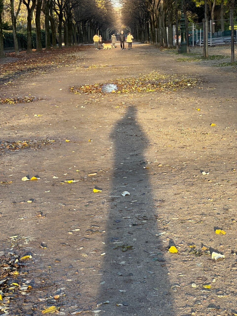 フランスごはん日記「息子から、鯛をどうやって料理したらいいか、と問い合わせが来る。親子の関係」