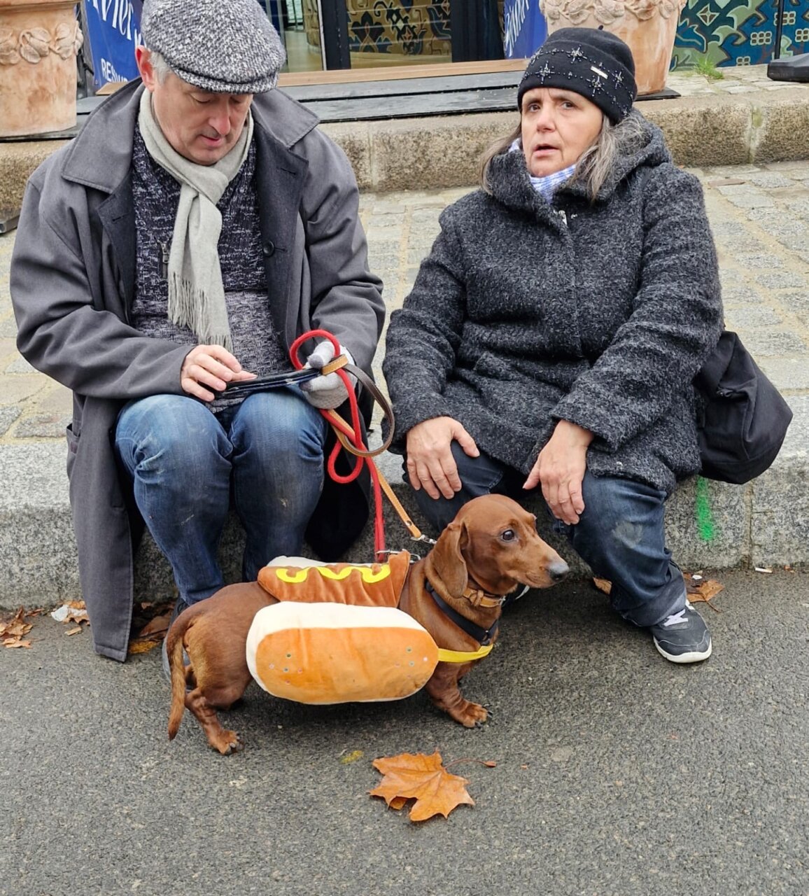 フランスごはん日記「なんで、フランス人は、みんなミニチュアダックスフンドが好きなのか？　」