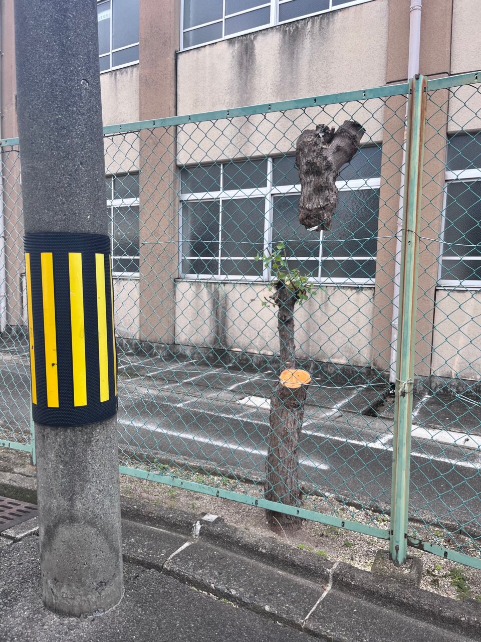 30枚の写真と本一冊: 京トマソン— 赤瀬川原平に捧ぐ