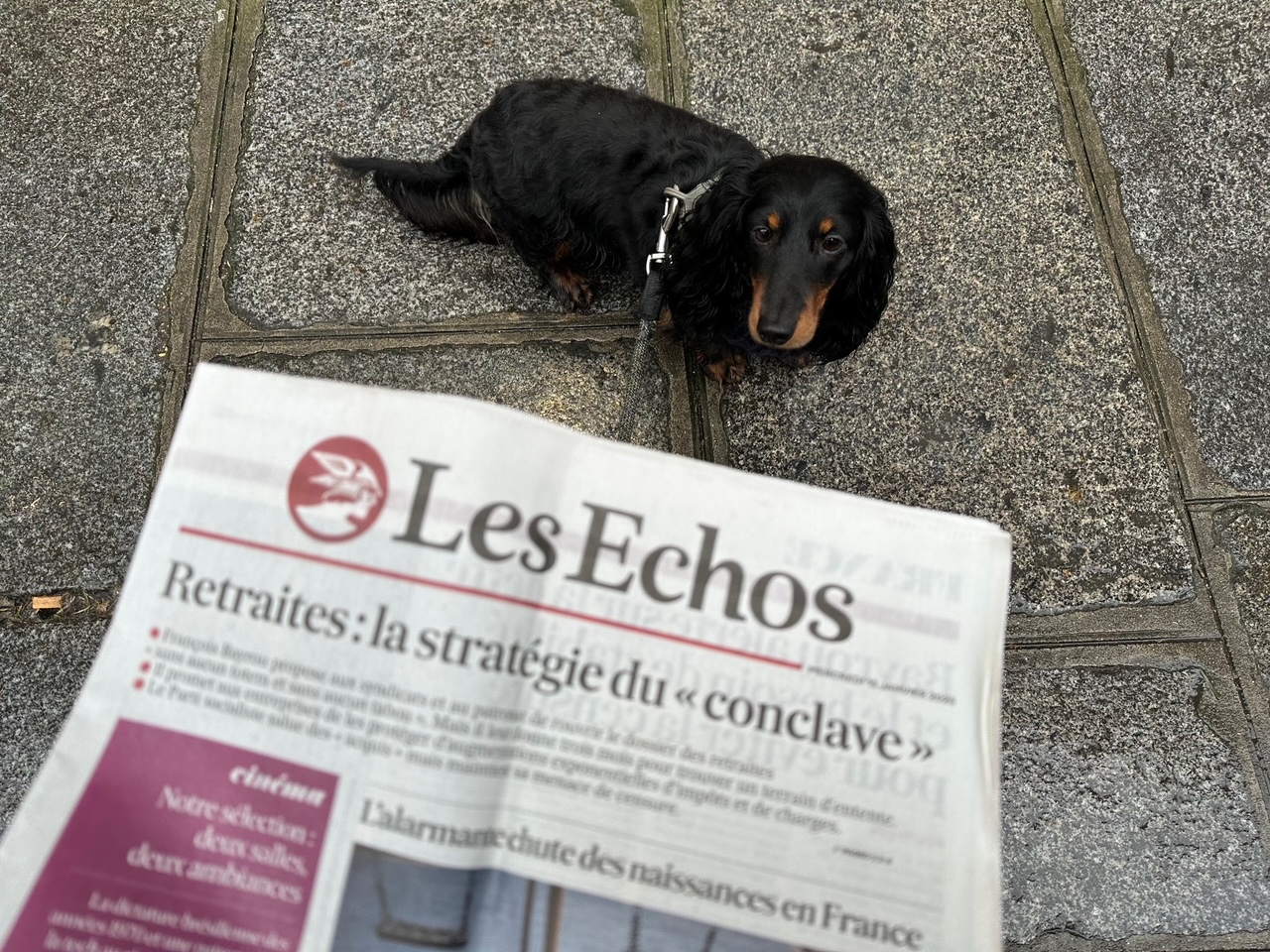 フランスごはん日記「今日はお惣菜屋さんでフランスの定番スナックを買って、ランチとした」