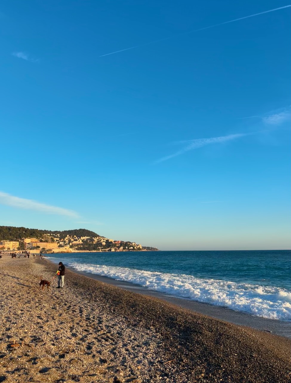 冬の南仏ニース旅「海と青空を求めて」